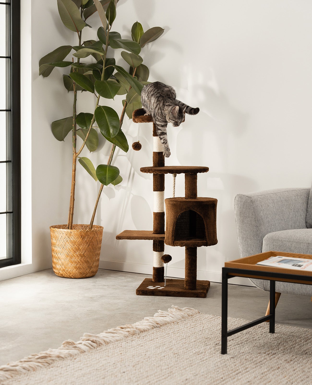 Lionto Tiragraffi per Gatti 112 cm Beige Sisal con Cuccia