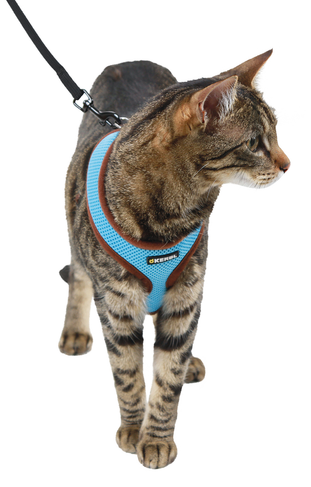 Kerbl Pet Cat Harness Active pettorina gatto mesh con guinzaglio