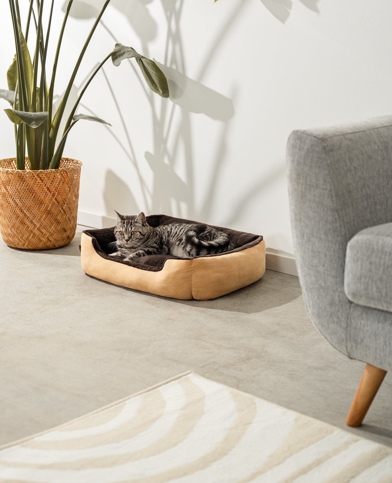 Lionto Katzenbettchen letto gatto marrone 60x48 cm morbido