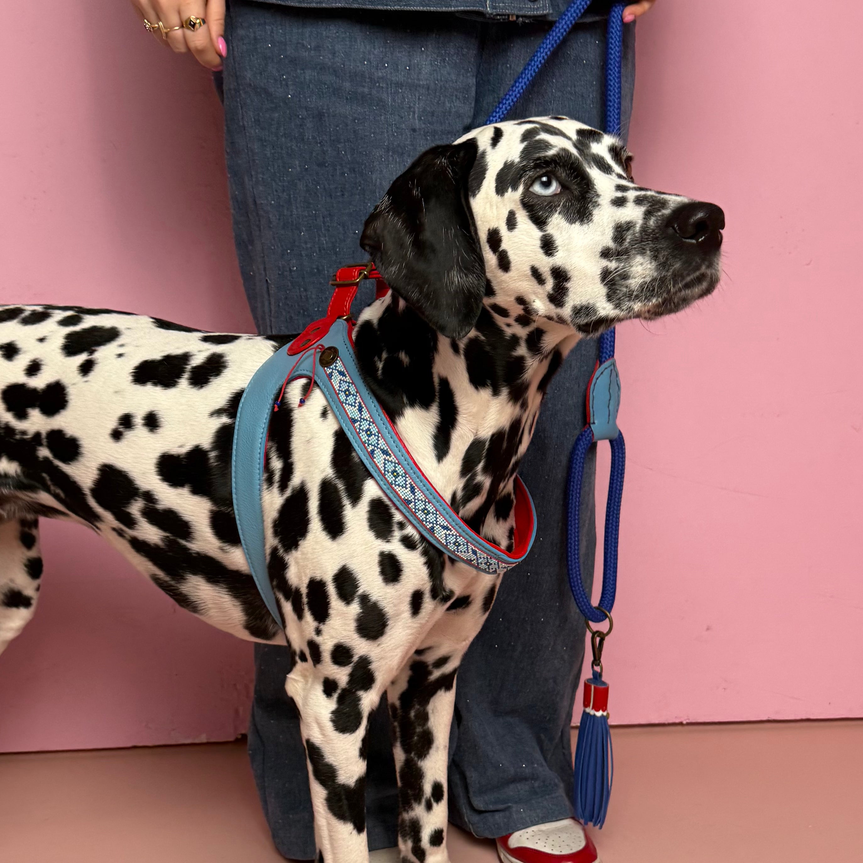 Dog with a Mission Dutchie Pettorina Cane 8 Blu Rosso Perline