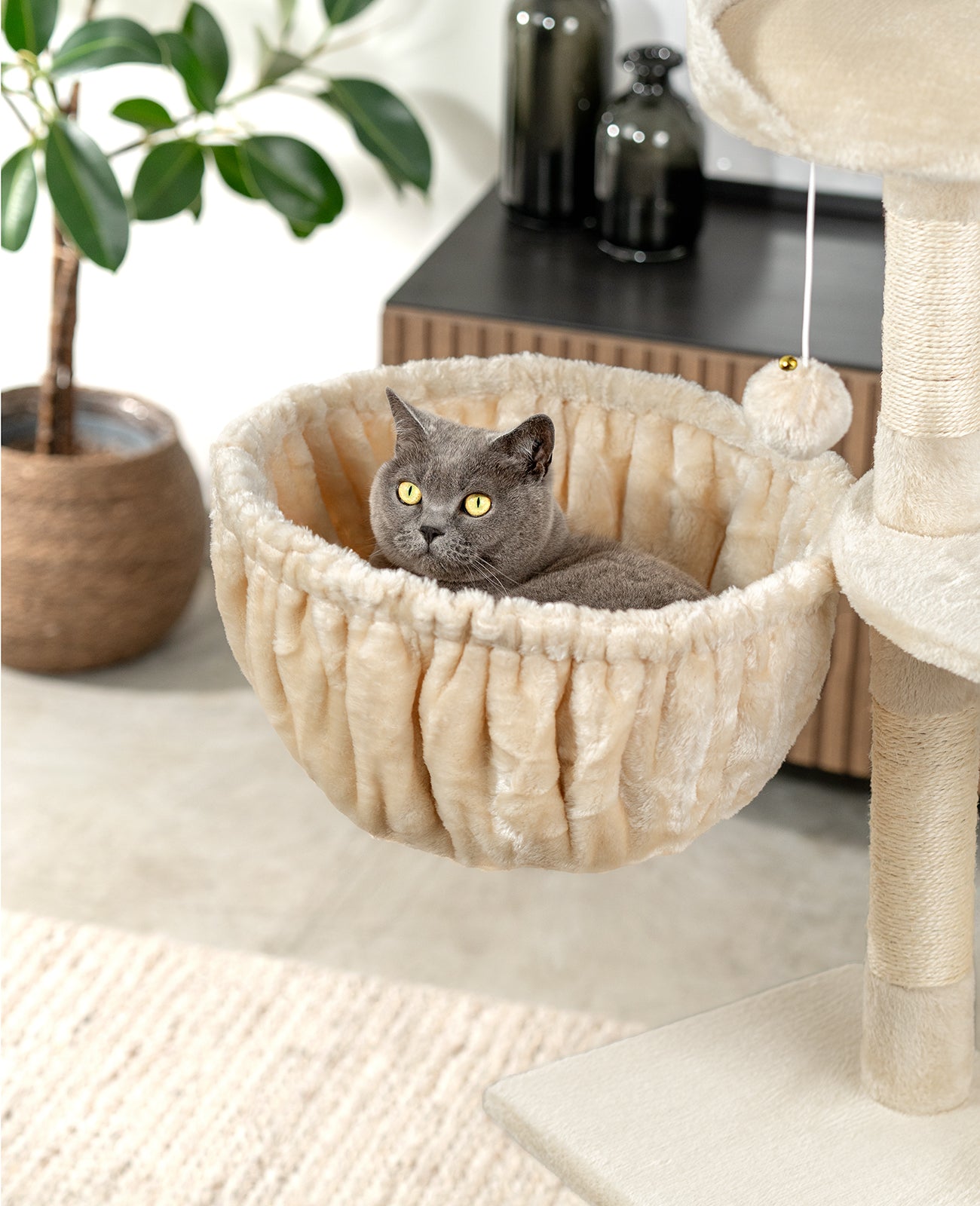 Lionto Katzenkratzbäume amaca gatti beige 40 cm profondità 25 cm