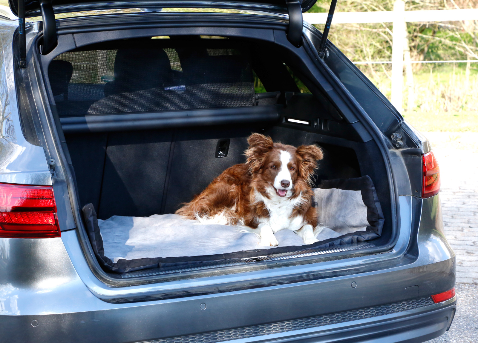 Kerbl Pet Dog Trip coperta cane viaggio impermeabile
