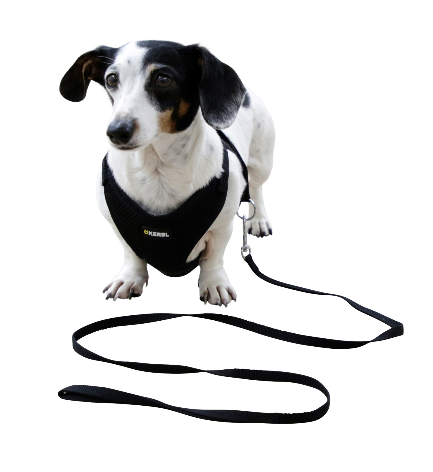 Kerbl Pet Puppy Harness pettorina cucciolo mesh con guinzaglio 120 cm