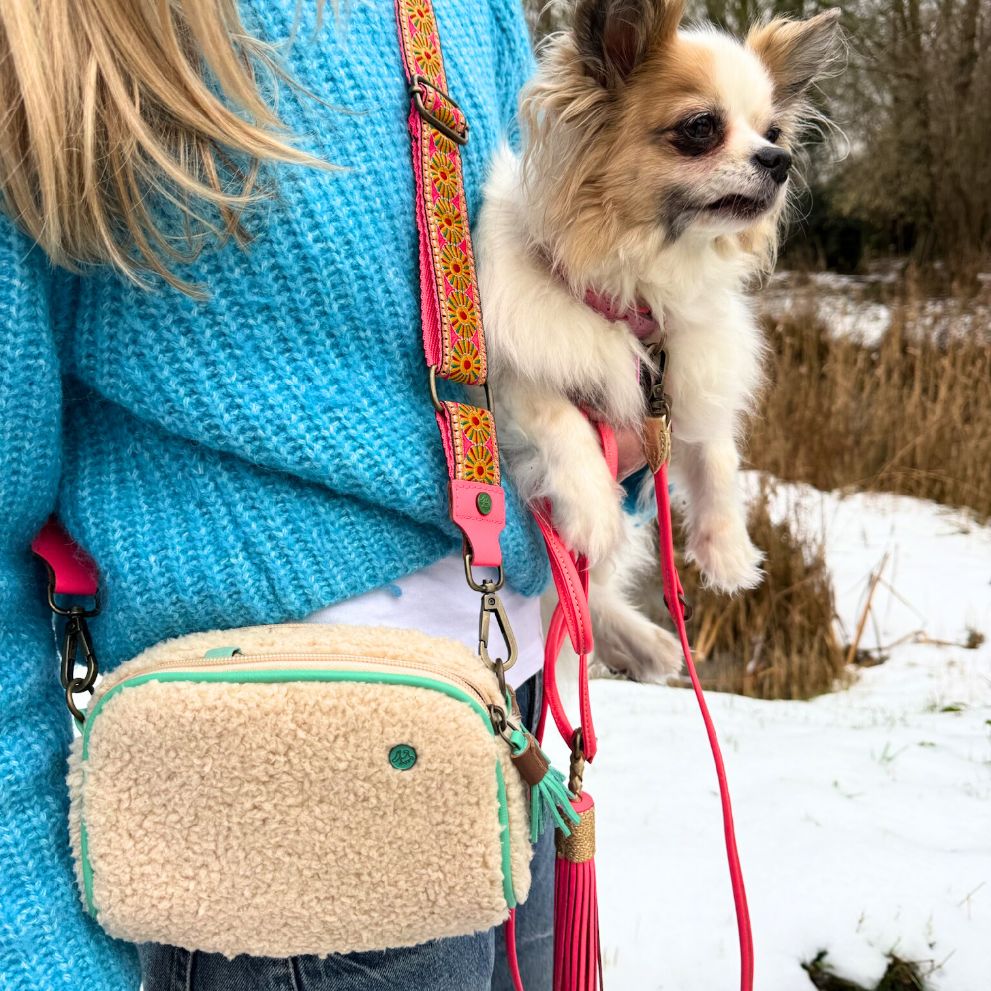 Dog with a Mission Walk The Dog borsa cane tracolla teddy turchese