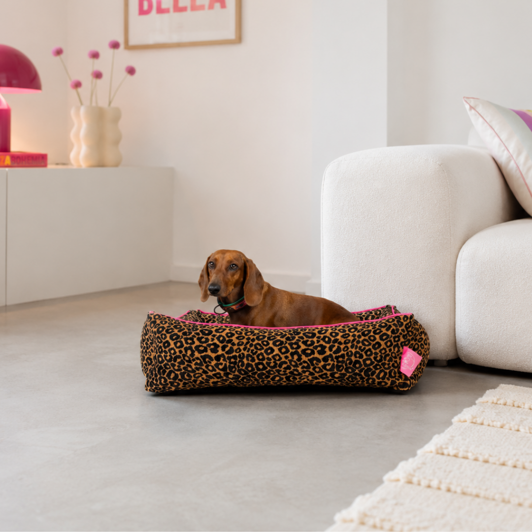 Dog with a Mission Lazy Leopard Cuccia Cane M Leopardata