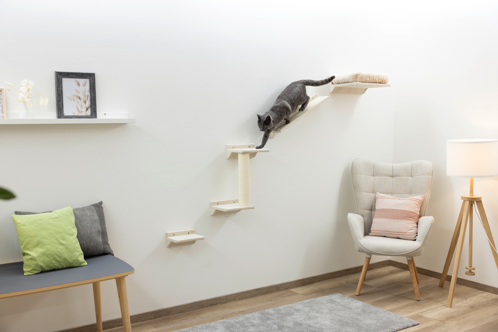 Kerbl Pet Monte Prado parete arrampicata gatto 6 pezzi