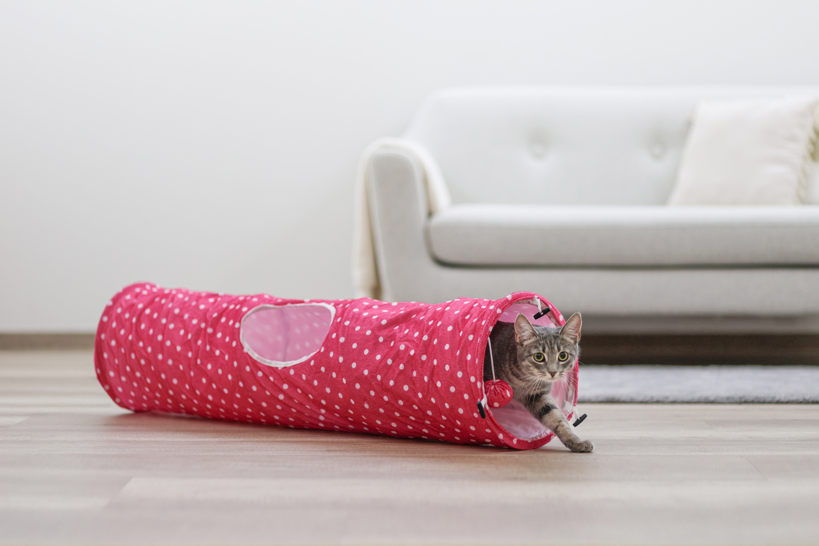 Kerbl Pet Puntino tunnel gatto nylon 3 uscite con pallina