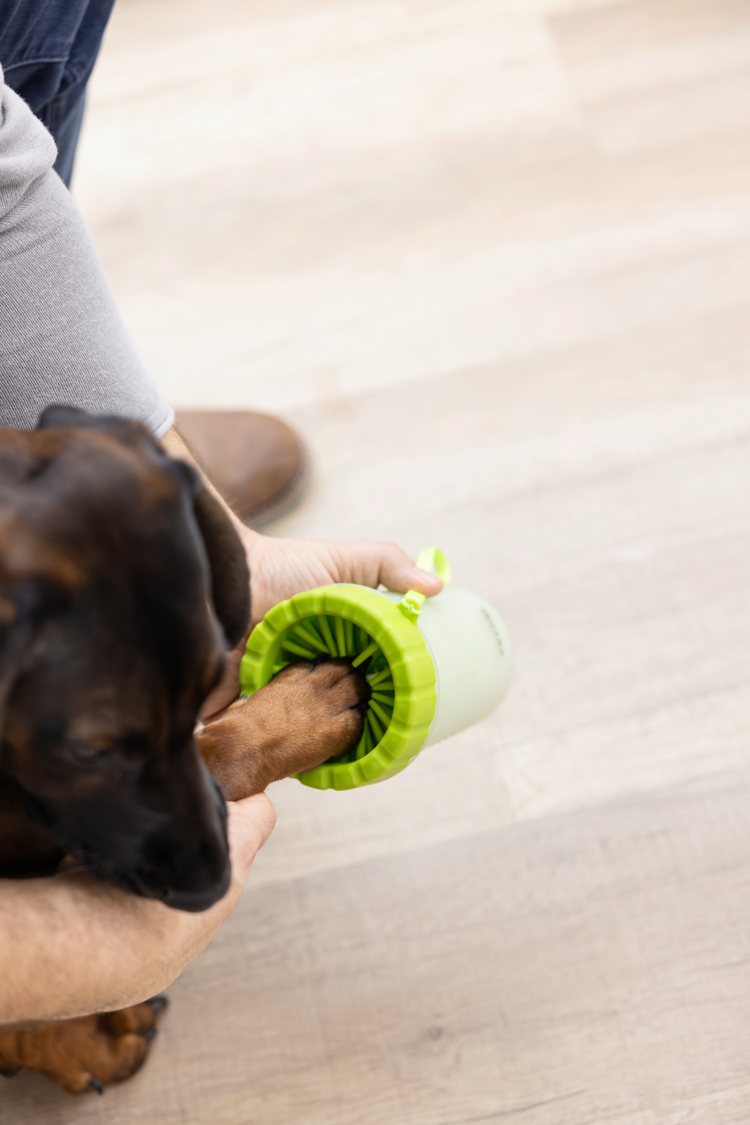 Kerbl Pet Dog Care Pulisci Zampe Cane con Setole TPR