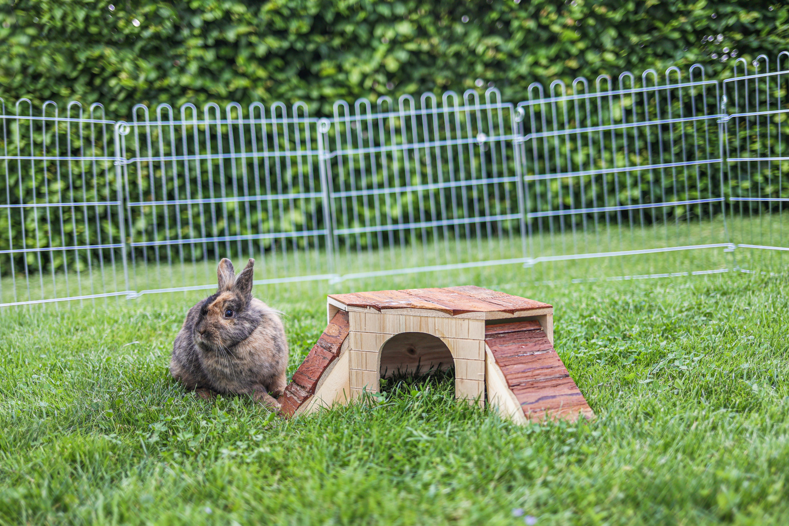 Kerbl Pet Rodent Cabin casetta legno roditori 2 rampe