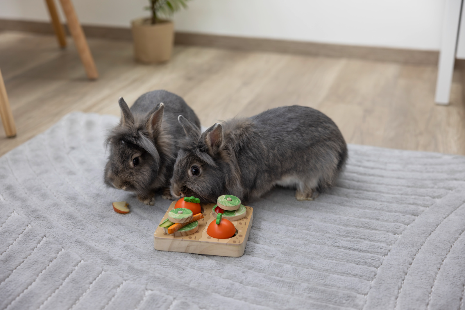 Kerbl Pet Veggie gioco intelligenza coniglio 2 livelli
