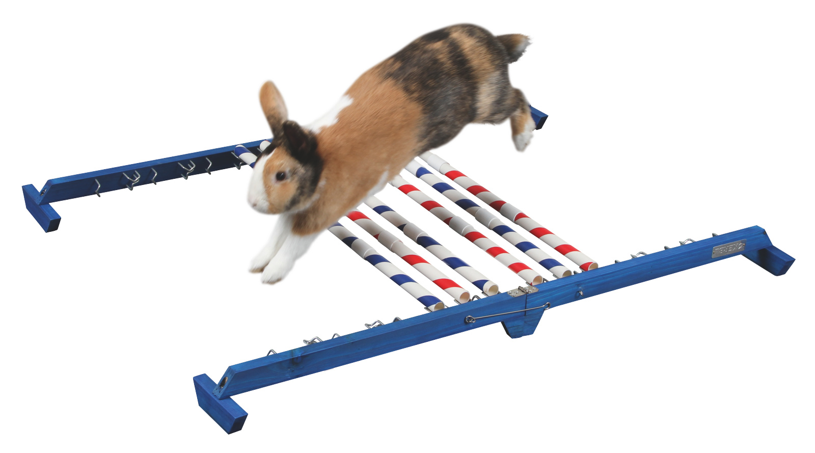 Kerbl Pet Combo Jump agility legno per roditori 10 barriere