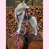 Dog with a Mission Sweety guinzaglio L 220 cm pelle rosa
