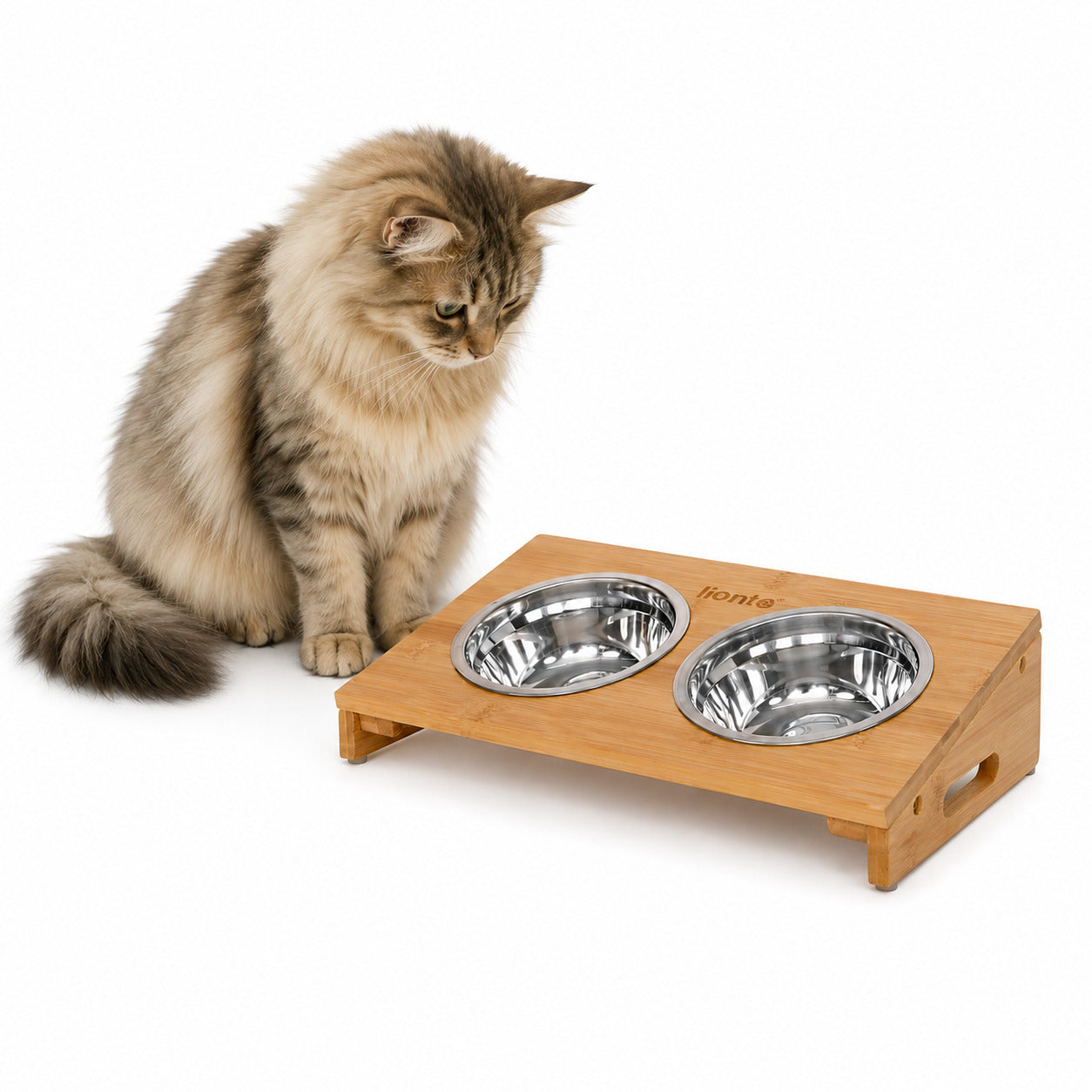 Lionto Katzenäpfe Ciotola Gatto Rialzata Bambù Doppia