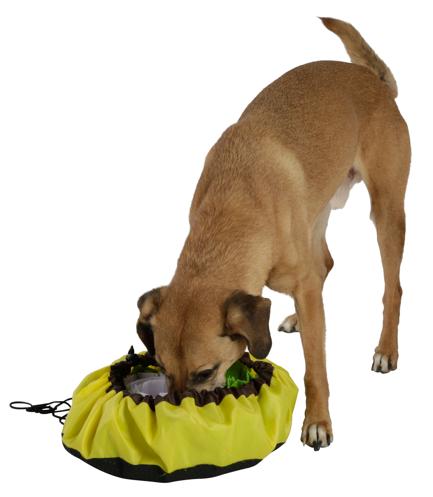 Kerbl Pet Dog Toy Sniff Rug Bowl tappeto olfattivo cani anti-ingozzamento