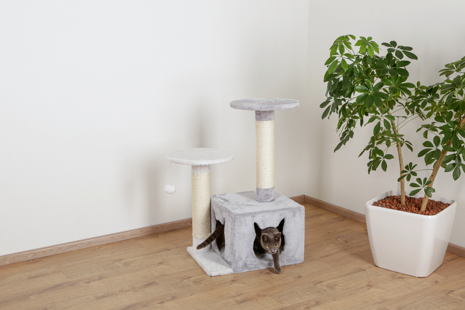 Kerbl Pet Saphir Light albero tiragraffi gatto con cuccia