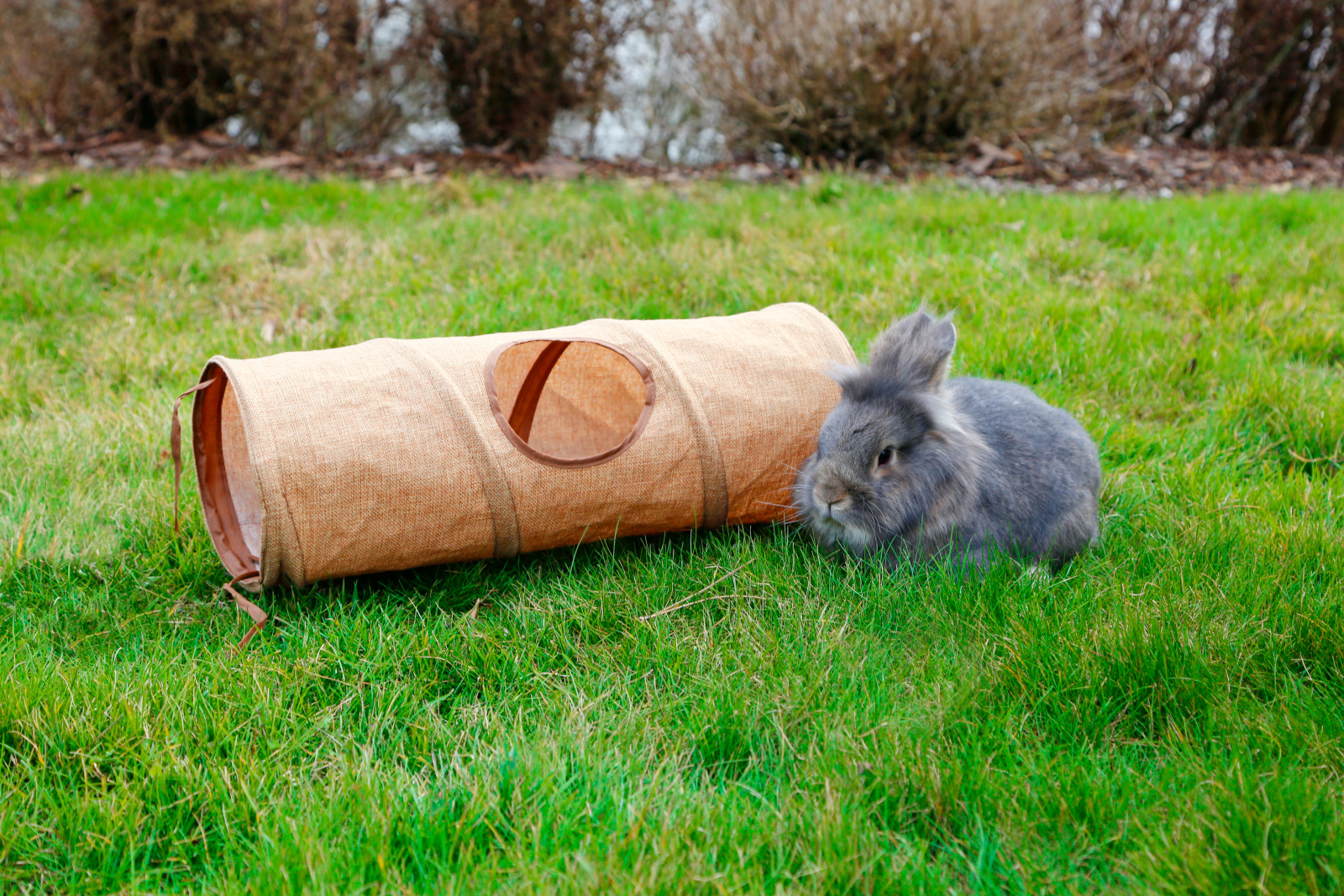 Kerbl Pet Tunnel roditori 3 ingressi per conigli gatti