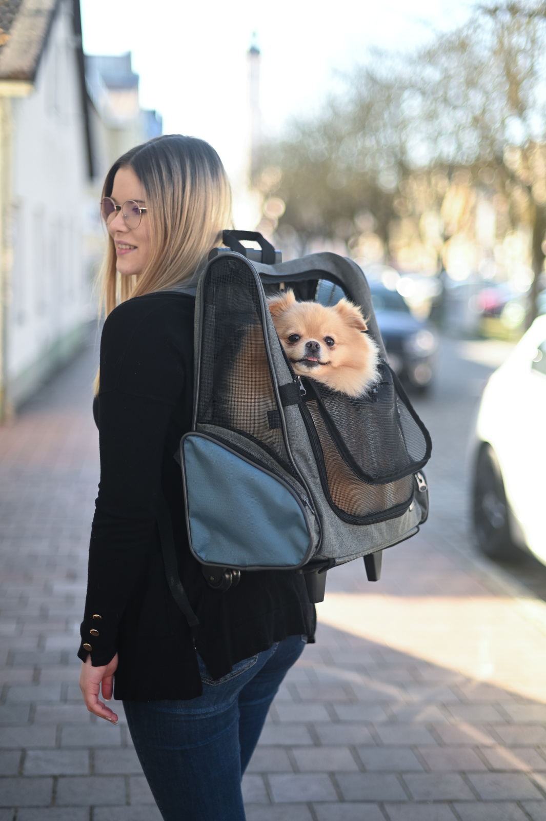 Kerbl Pet Dog Transport Trolley Vacation borsa trolley cani e gatti