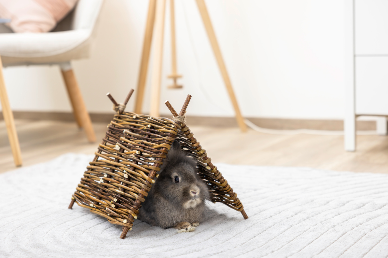 Kerbl Pet Teepee Tent Nature tenda per conigli 37 cm in salice