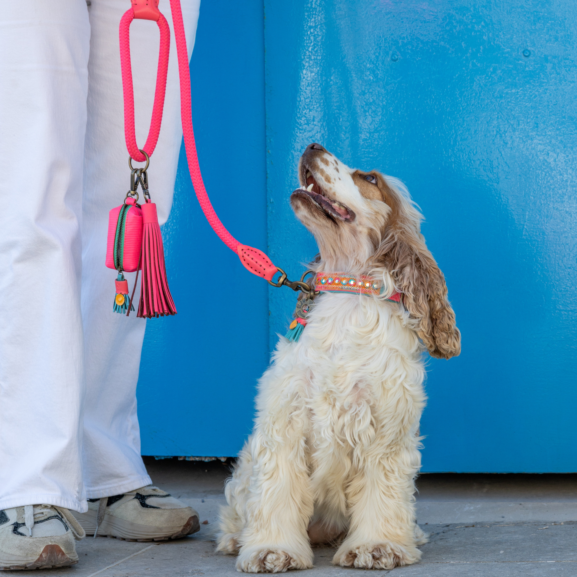 Dog with a Mission Indian Summer porta sacchetti cane rosa
