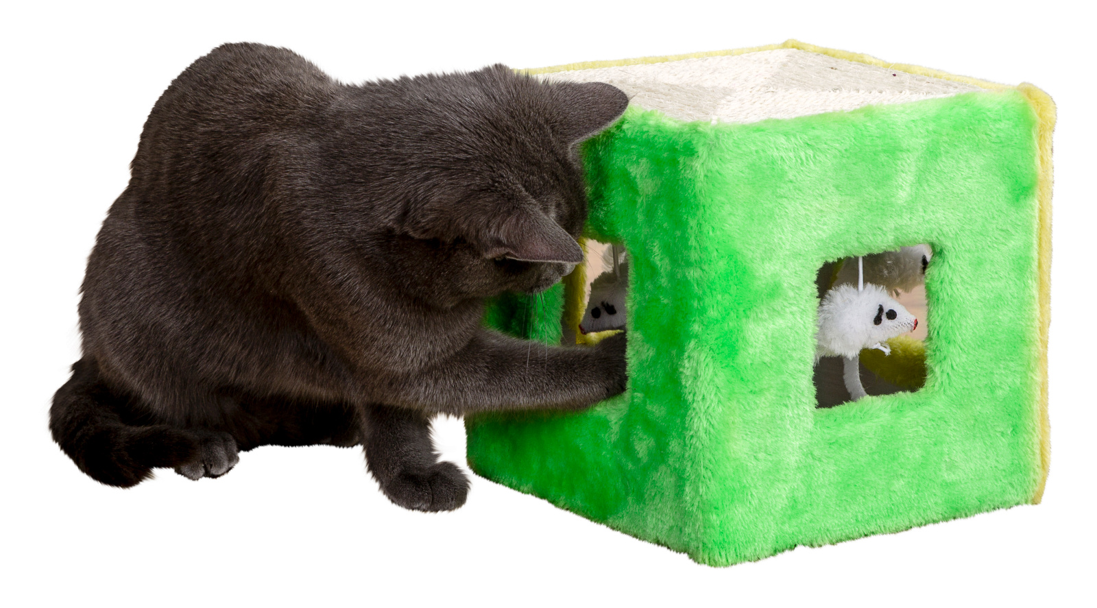 Kerbl Pet Sisal Toy Würfel gioco gatto sisal con topolini