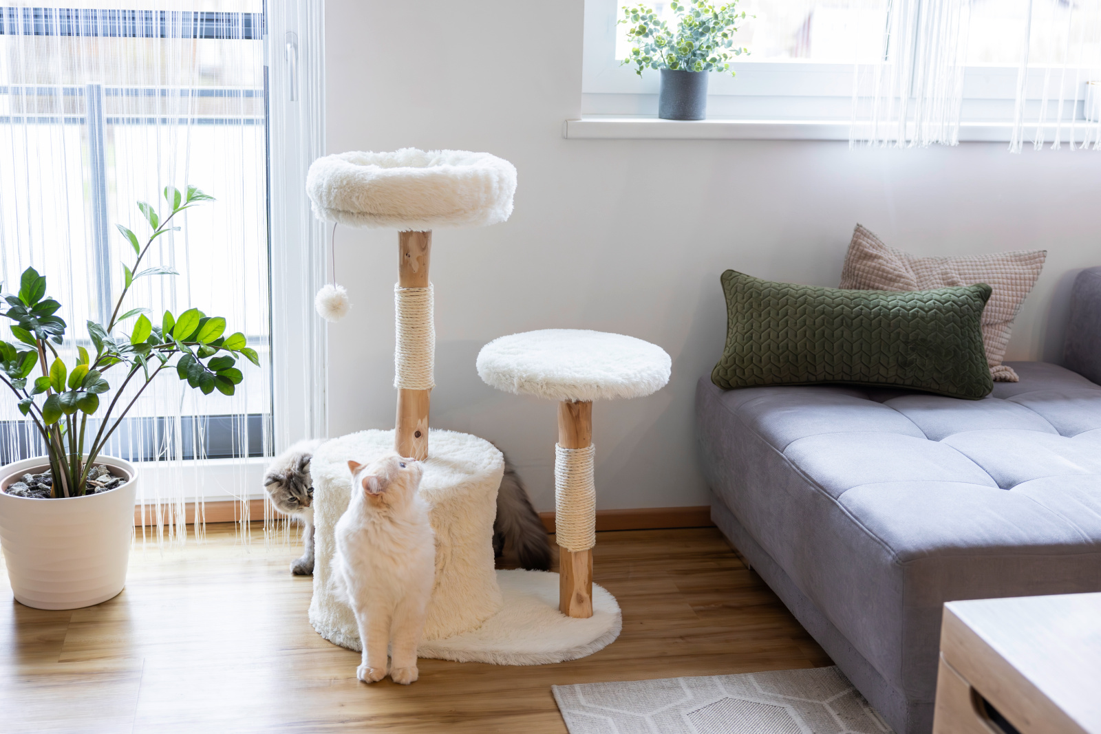 Kerbl Cat Scratch Lucia albero tiragraffi legno sisal con cuccia