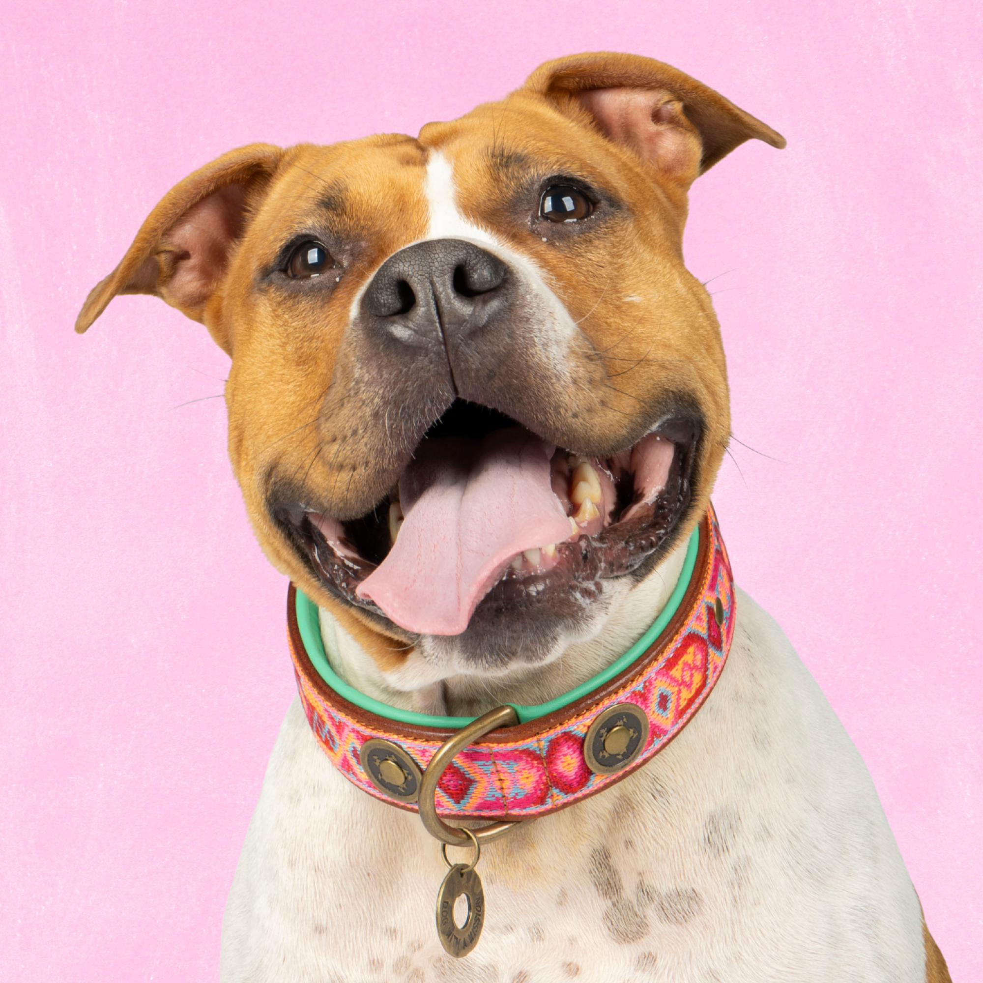 Dog with a Mission Boho Rosa collare cane pelle XL rosa 48-57 cm