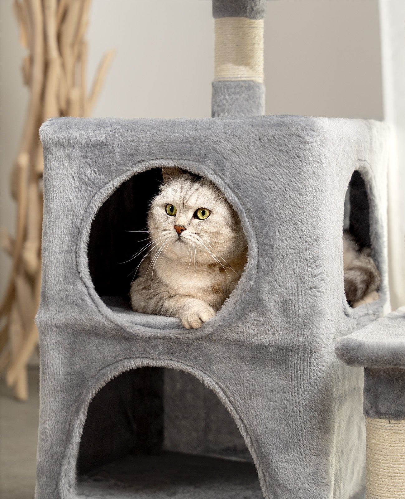 Lionto Katzenkratzbäume tiragraffi gatto 80 cm grigio chiaro