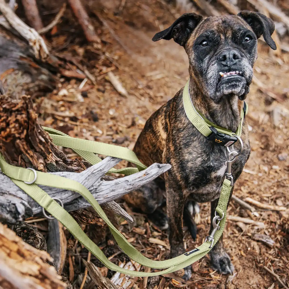 Rudelkönig Frida Guinzaglio Cane Khaki Regolabile 360°