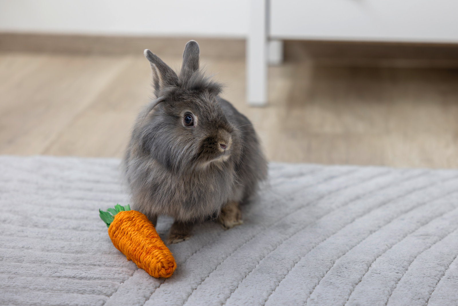 Kerbl Pet Sisal Carrot gioco roditori sisal denti antistress