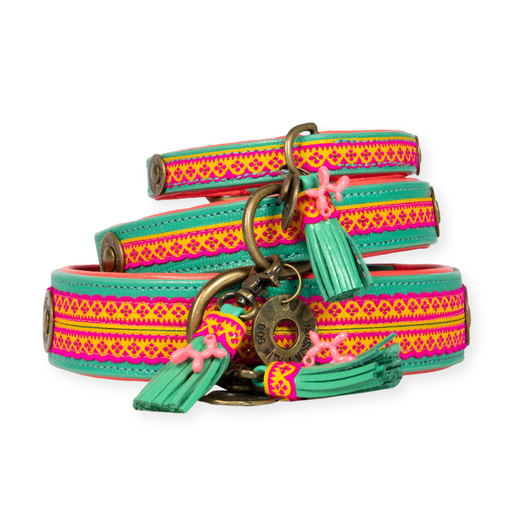 Dog with a Mission Maui Collare XXL 58-65 cm Turchese