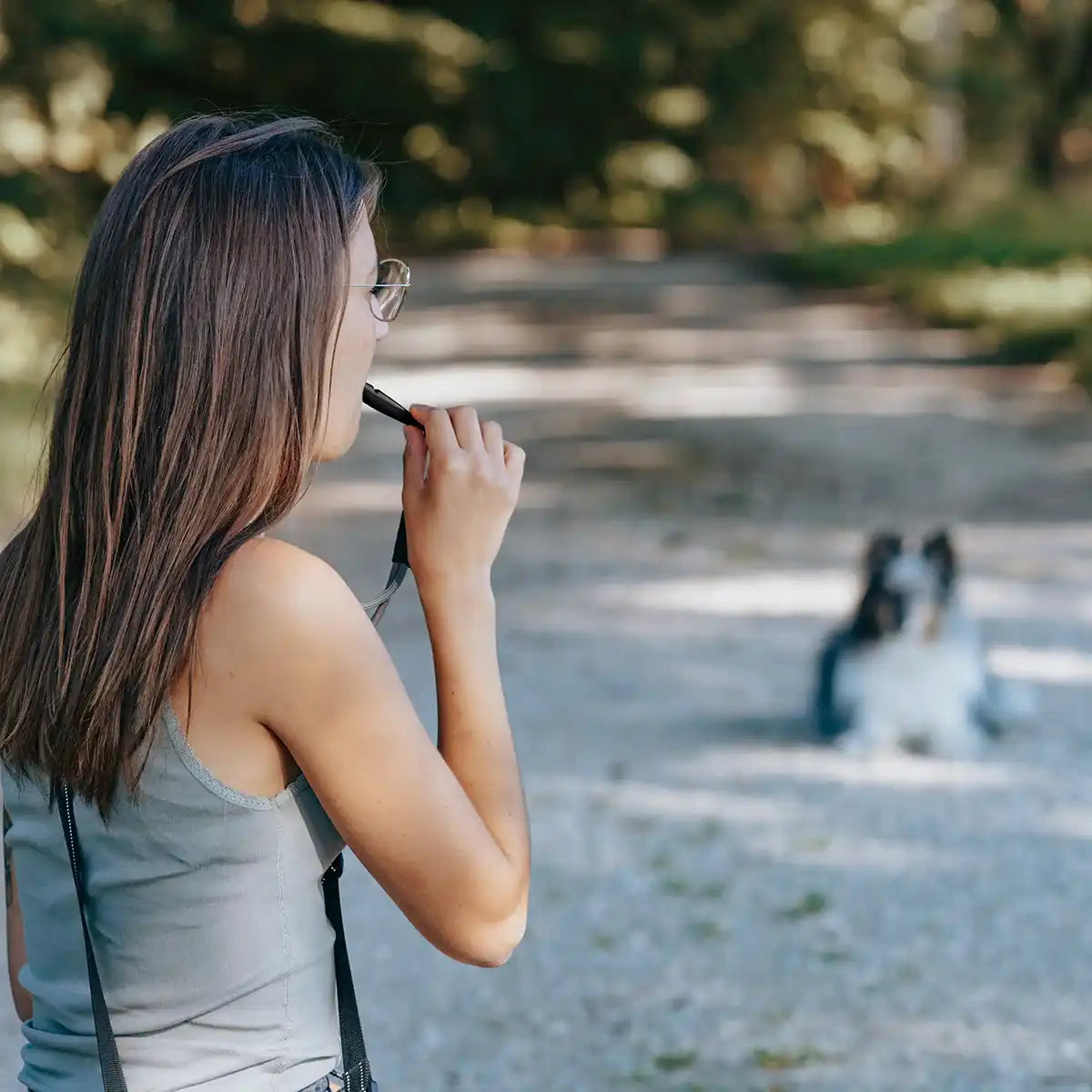 Rudelkönig Hundetraining Hundepfeife fischietto cane nero