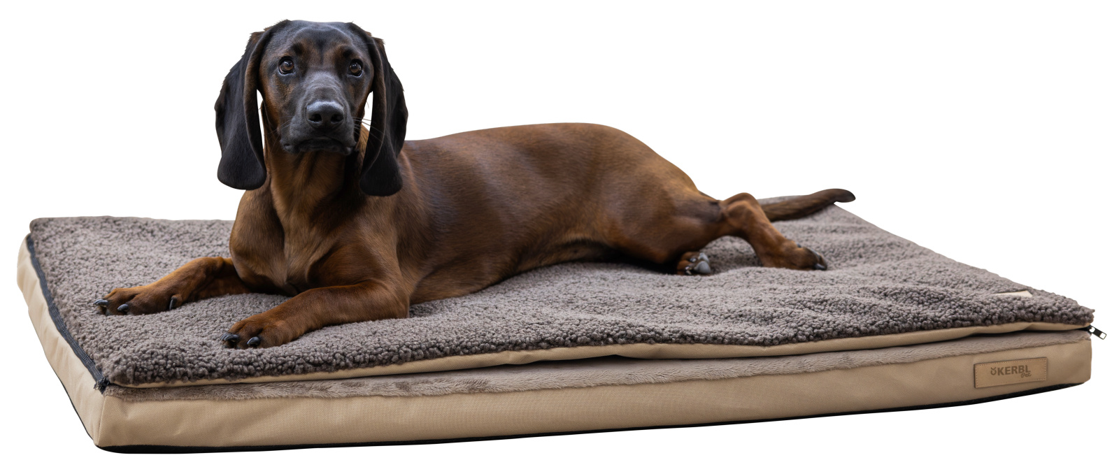 Kerbl Pet materasso ortopedico cane memory foam incontinenza