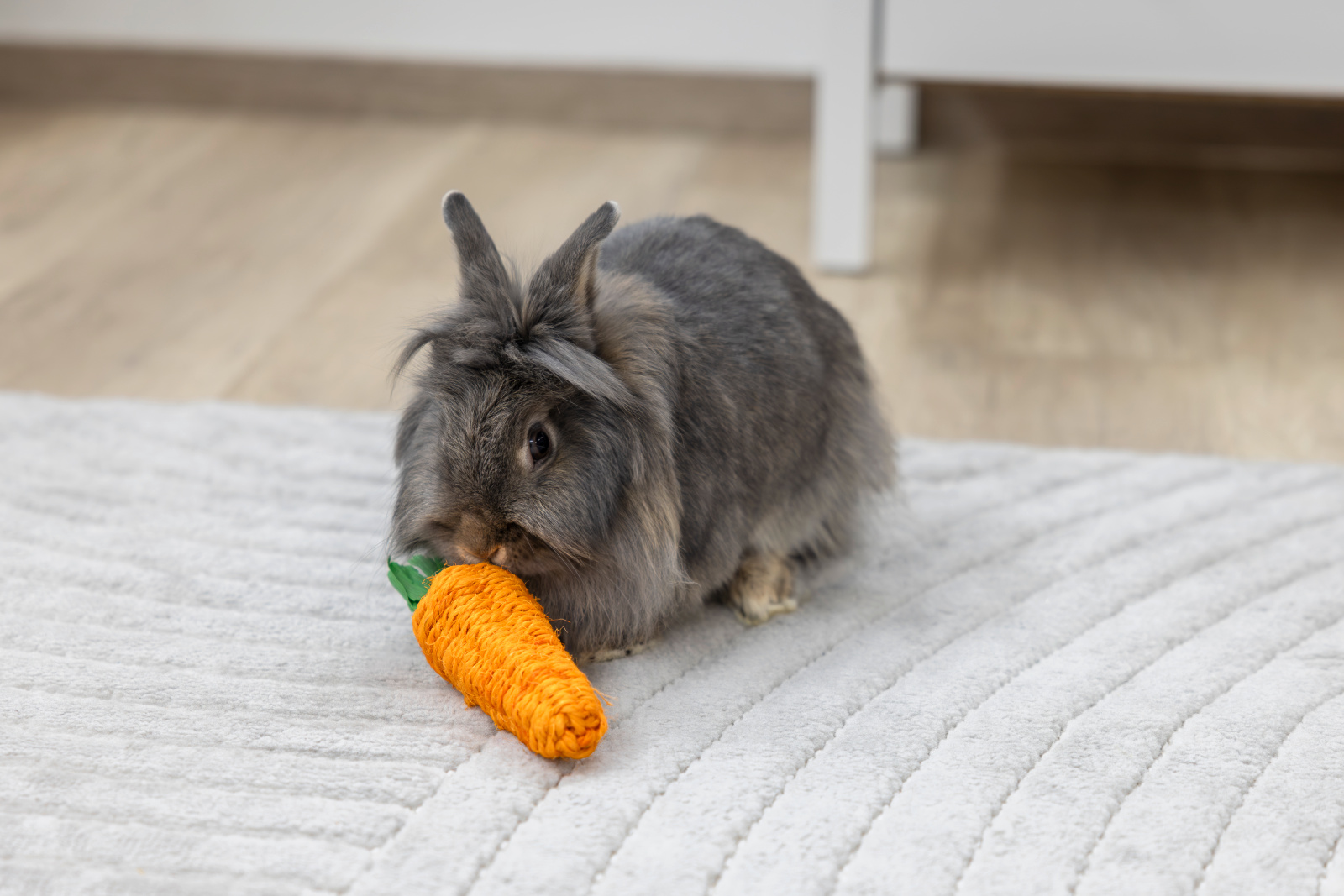 Kerbl Pet Sisal Carrot gioco roditori sisal denti antistress