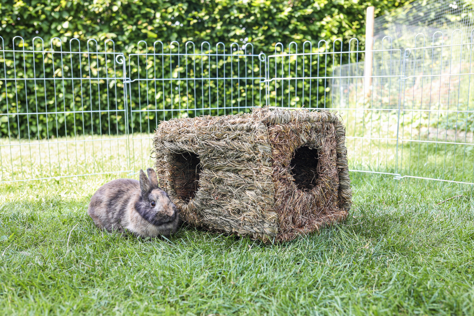 Kerbl Pet Grass House XL casa fieno roditori XL conigli
