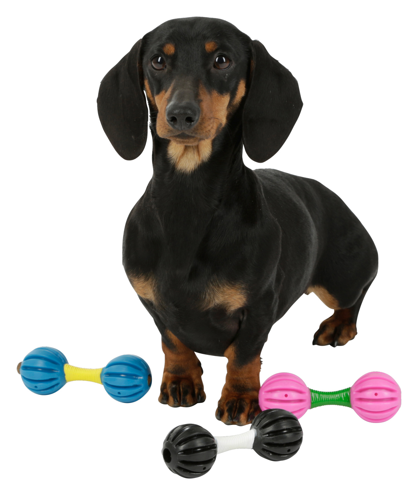 Kerbl Pet Dumbbell manubrio da masticare per cani in TPR