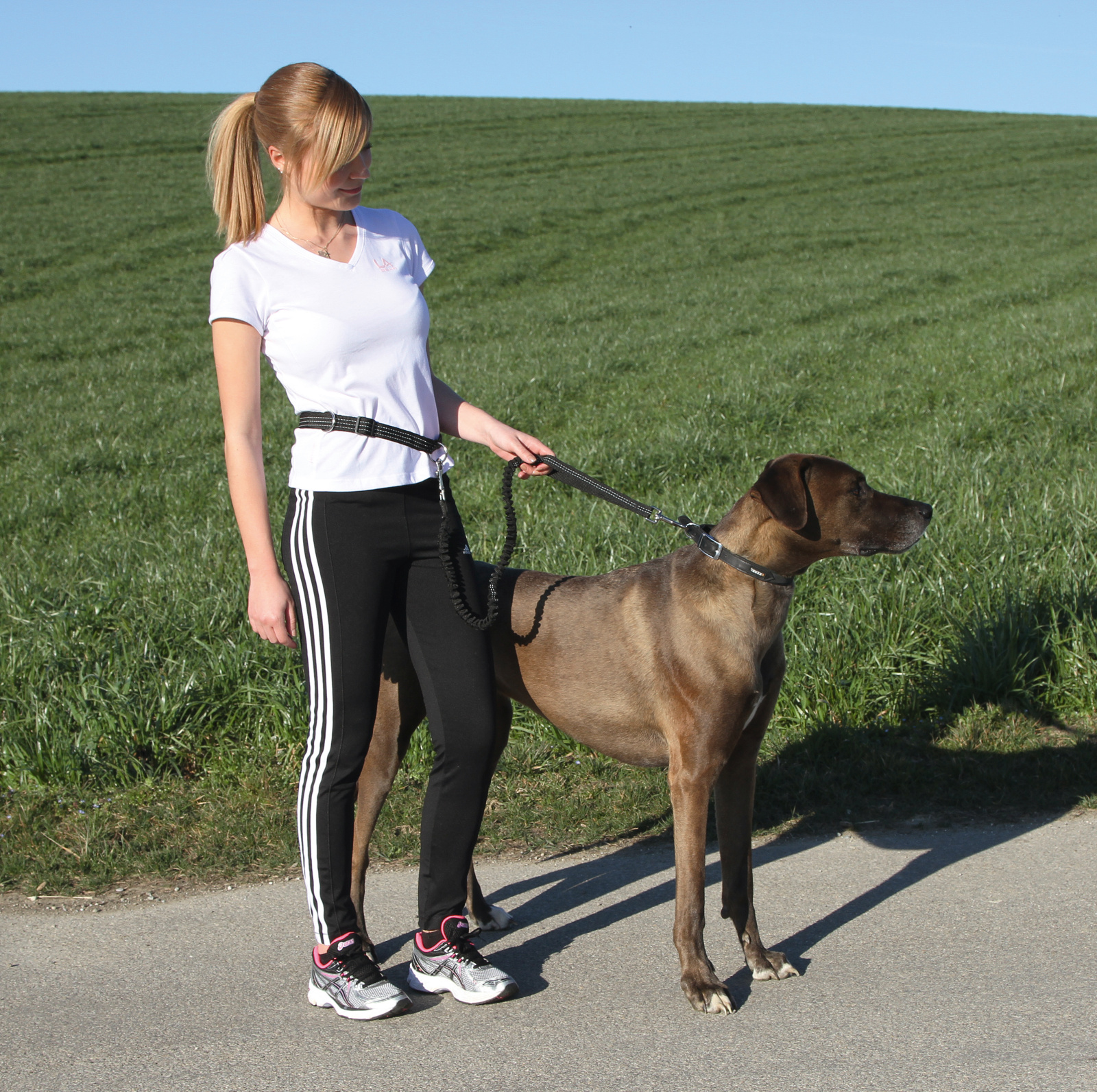 Kerbl Pet Jogging guinzaglio corsa cane con cintura