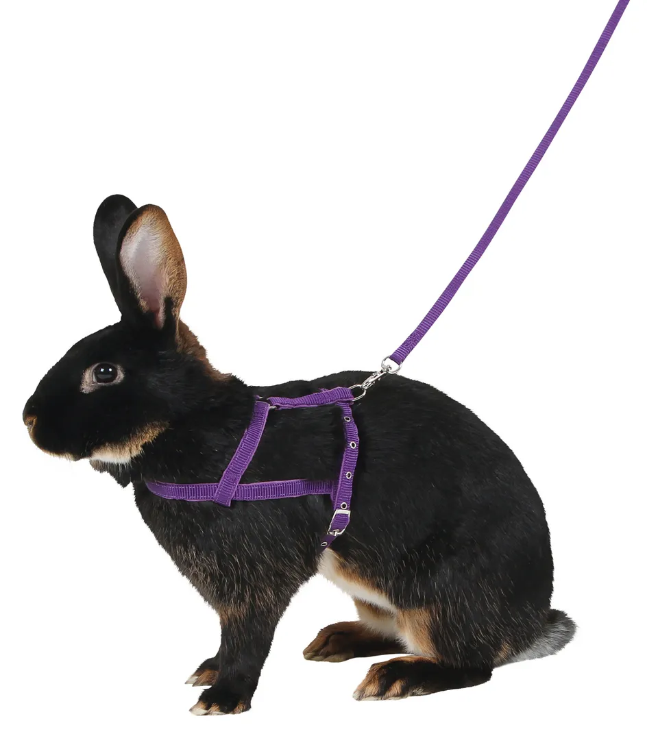 Kerbl Pet Shoulder Harness pettorina roditori con guinzaglio