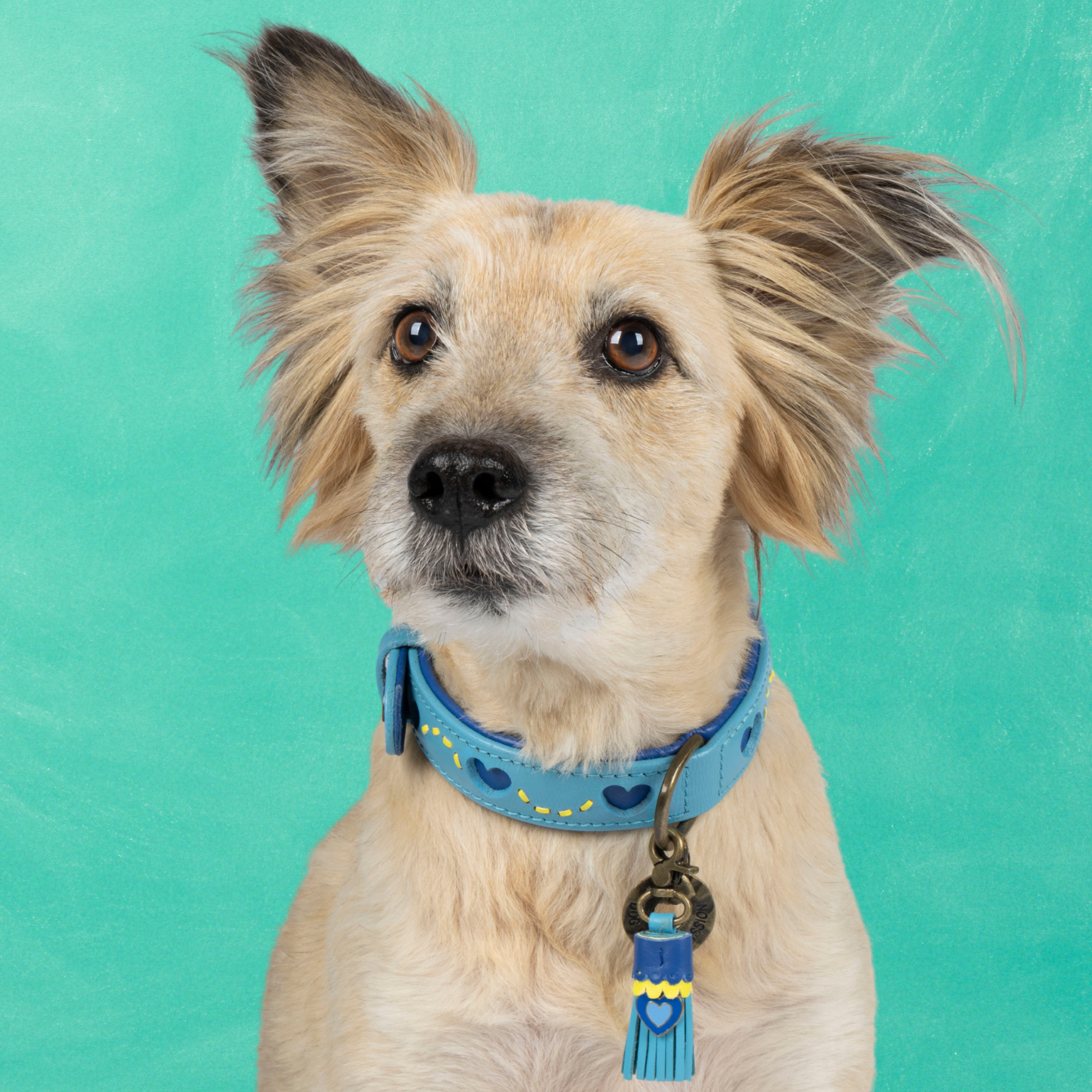 Dog with a Mission Sky collare S azzurro cuori 30-33 cm