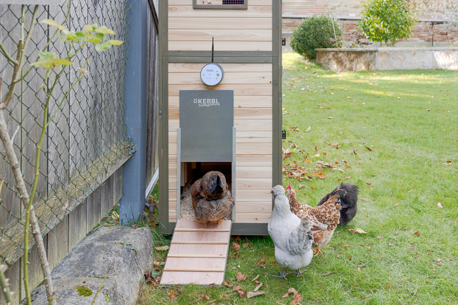 Kerbl Pet Duo Smart porta automatica per pollaio con app