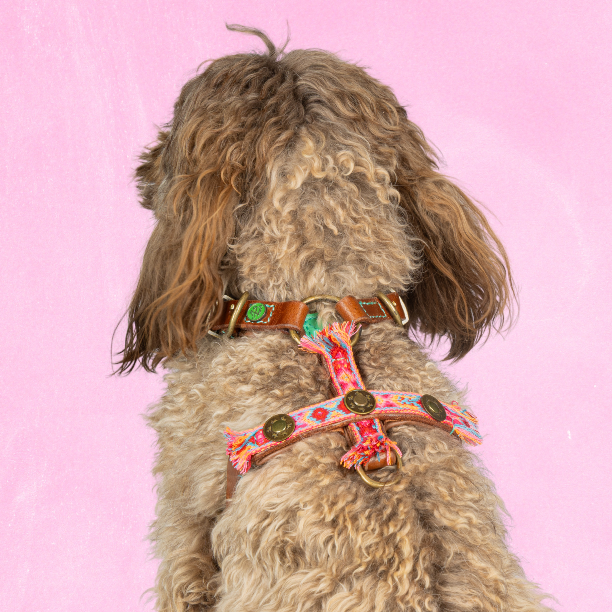 Dog with a Mission Boho Rosa Pettorina Cane XS Rosa 35,5-44cm