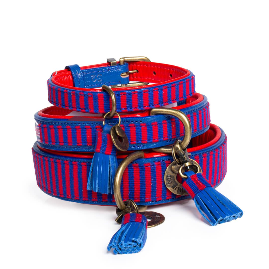 Dog with a Mission Mr Clooney S collare cane pelle rosso blu 30-33