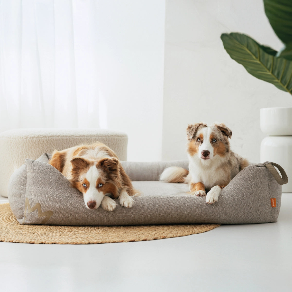Rudelkönig Hundebetten Koye cuccia cane M Beige ortopedica