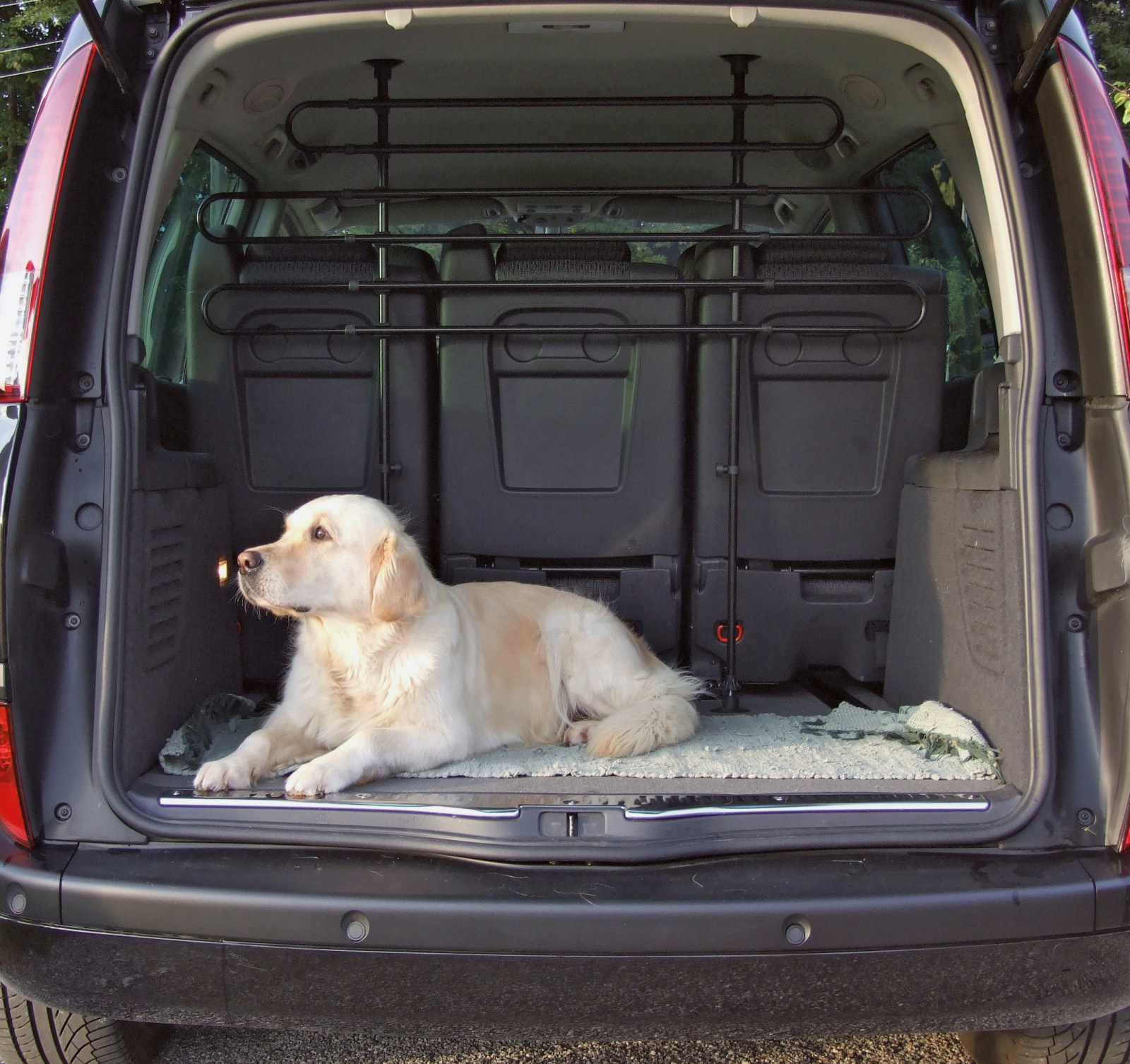 Kerbl Pet Car Safety Panel divisorio auto cani metallo