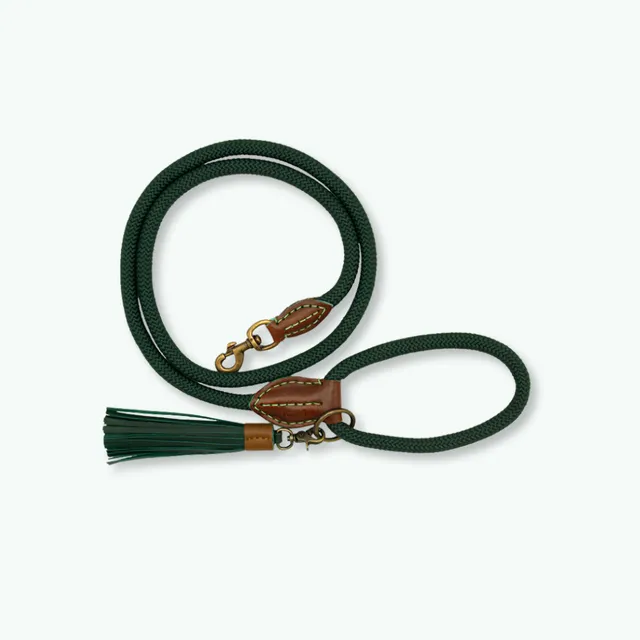 Dog with a Mission Bowie guinzaglio cane L 155 cm verde