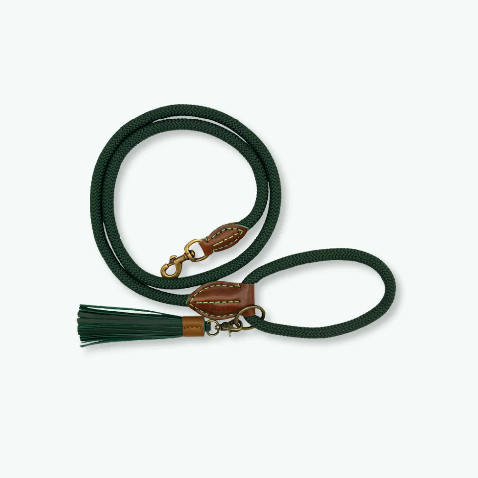 Dog with a Mission Bowie guinzaglio cane L 155 cm verde
