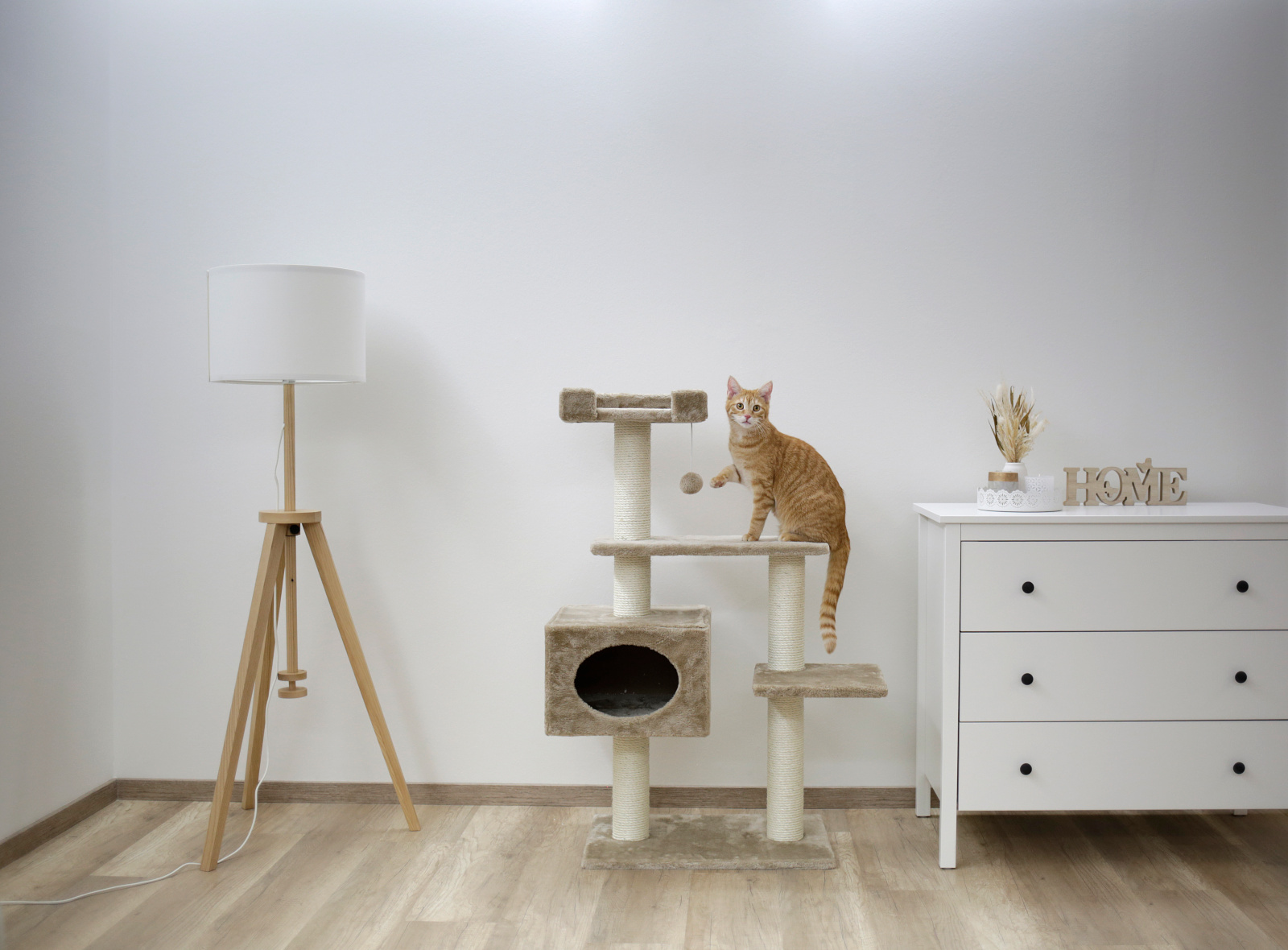 Kerbl Pet Emmy Tiragraffi Albero Gatto con Cuccia Sisal