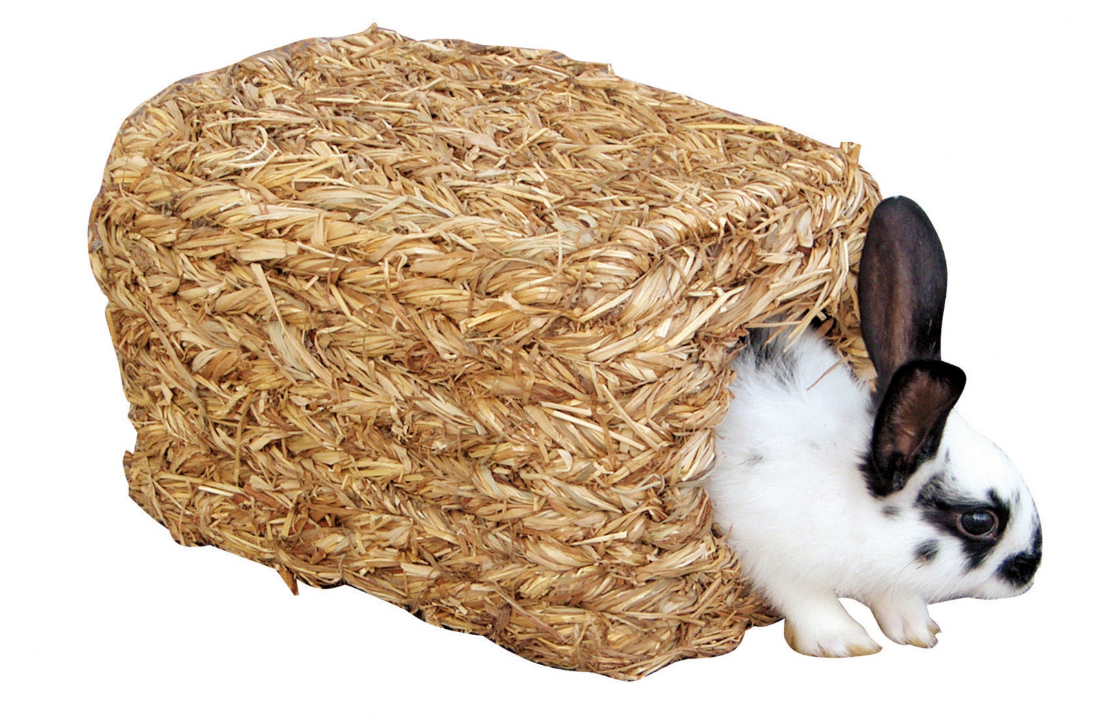 Kerbl Pet Grass House casetta fieno roditori 2 ingressi
