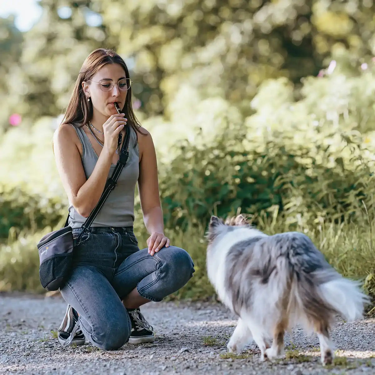 Rudelkönig Hundetraining Hundepfeife fischietto cane nero