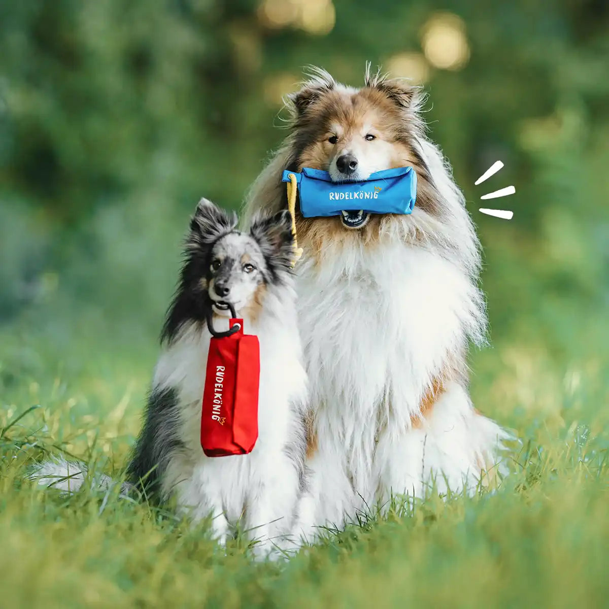 Rudelkönig Hundetraining Futterdummy dummy cane blu
