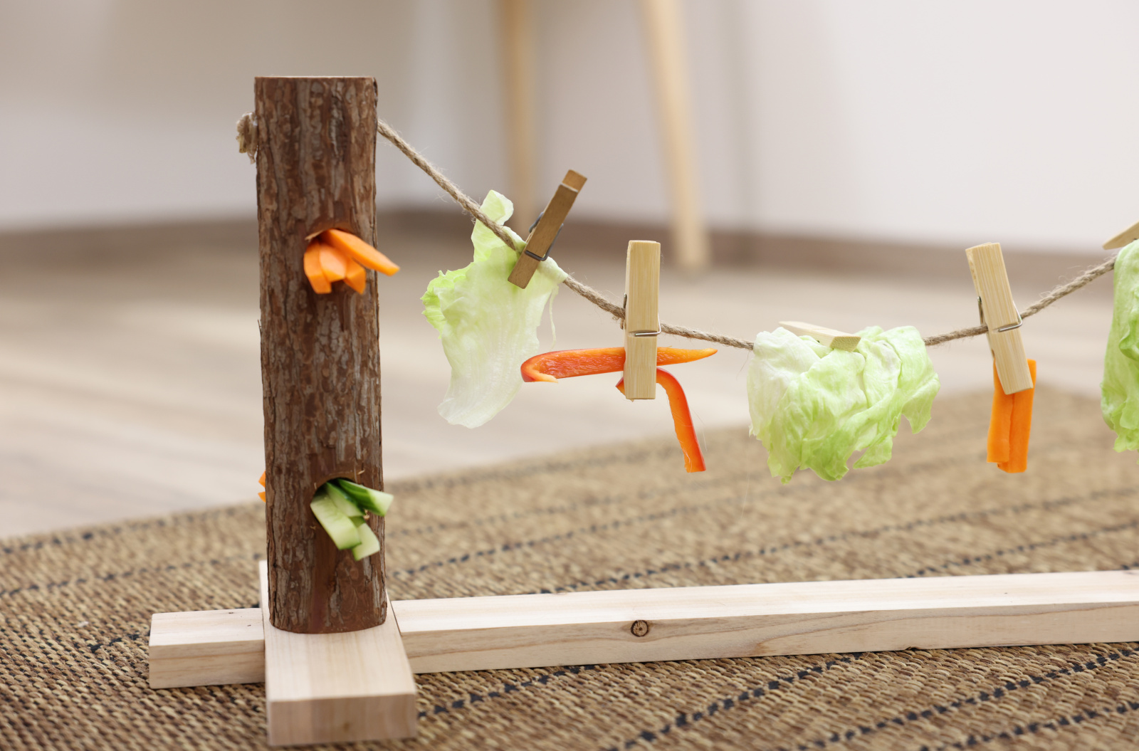 Kerbl Pet Feeding Line gioco alimentazione conigli e roditori